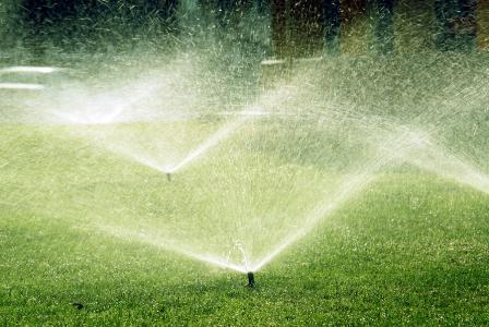 bigstockphoto Sprinkler 1126281